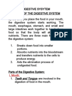 Digestive System Functions in 40 Characters