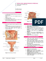 M8L3LEC - Benign Prostatic Hyperplasia (Special Lecture-Online)