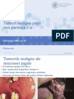 Tumori Maligne Parti Moi Partea 2 LP 5