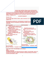 26.nanda Balqis R Ukb Bio 3.2 Mekanisme Transport