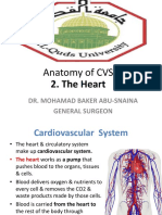 Anatomy of CVS: 2. The Heart