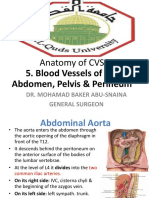 Anatomy of CVS: 5. Blood Vessels of The Abdomen, Pelvis & Perineum