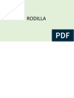 RX Rodilla