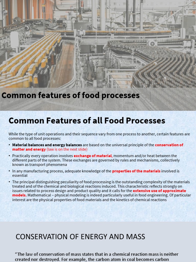 Food Processing Plant Design Essentials | PDF | Food Processing | Pepsi Co
