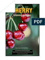 Cherry_Training_Systems_(E3247) (1)