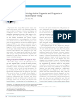 Liver Histology in The Diagnosis and Prognosis of Drug-Induced Liver Injury