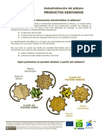 1.industrializacion Del Platano