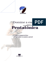 E Book Dominando A Penta