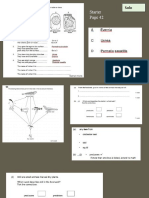 2 - Food Webs