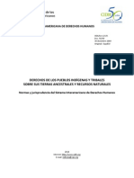 INFORME DERECHOS DE LOS PUEBLOS INDÍGENAS Y TRIBALES SOBRE SUS TIERRAS ANCESTRALES Y RECURSOS NATURALES