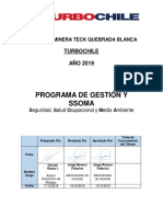 7.- Prog. Gestión Ssoma-turbochile 2019 Rev 1