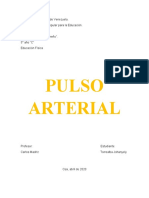 Pulso Arterial - Educ. Física