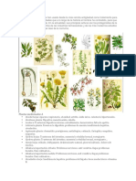 230 plantas medicinales