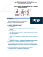 Ficha - Los Nutrientes Sufren Transformaciones