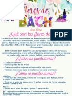 Flores de Bach Blen