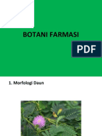  Morfologi Daun