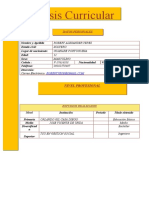 curriculum formato