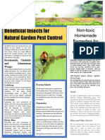 Beneficial Insects and Homemade Remedies for Natural Garden Pest Control