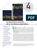 Cap 4 - Membrana Plasmática. Estructura y Funciones