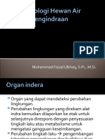 Organ Indera