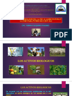 2021-I SEM 3, Activos Biológicos, NIC 41 Agricultura y NIIF PYMES Sección 34.2