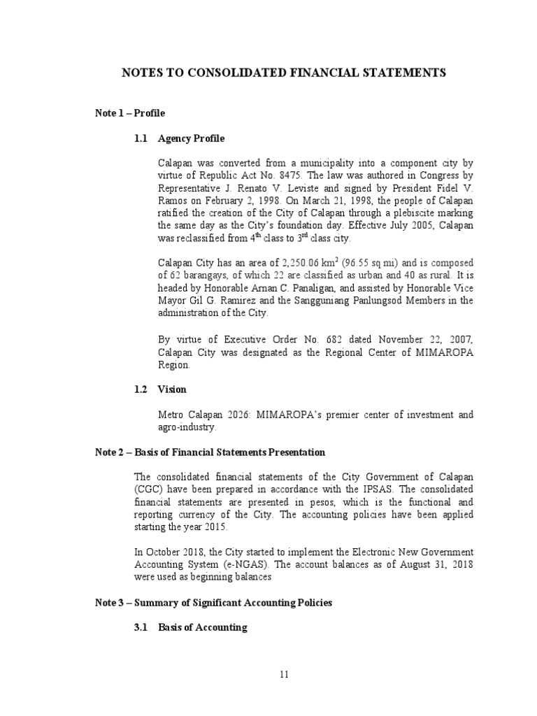 Calapan City Financial Statement Overview | PDF | Market Liquidity ...