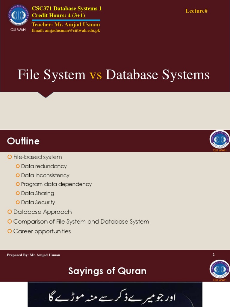 File System Vs Database Approach | PDF | Databases | Information Retrieval