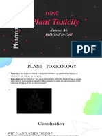 Plant Toxicity Sam
