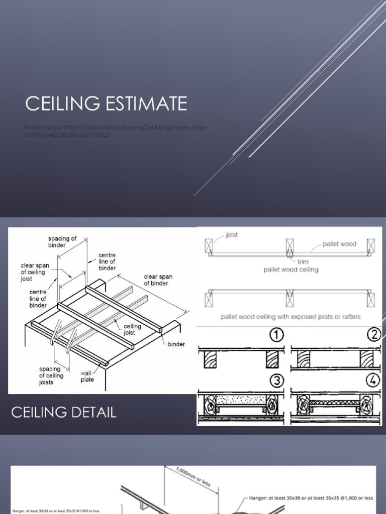 Ceiling Estimate PDF