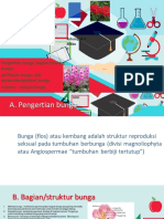 Education Template 16x9