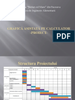 Grafică Asistată Pe Calculator