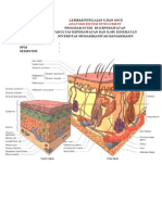 1. Sistem Integument Ok - Copy