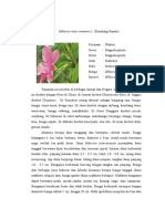 Download TANAMAN DAN HEWAN BERKHASIAT OBAT by daitrims1 SN50896390 doc pdf