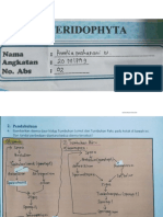 UKBM Pteridophyta (Biologi)