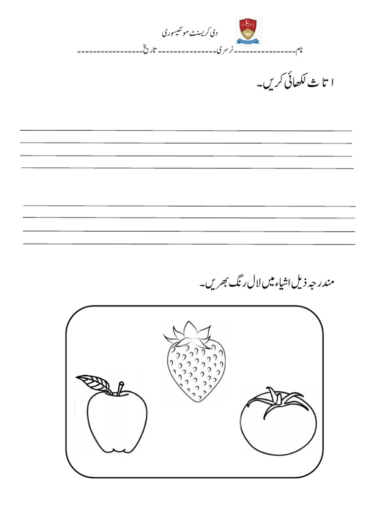 -Template- ا تا ث-لال رنگ | PDF