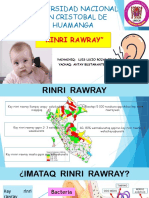 Rinri Rawray PDF