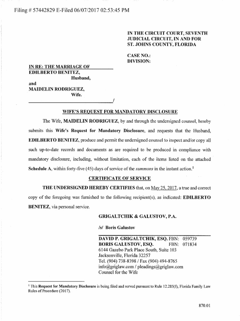 Request For Mandatory Disclosure PDF