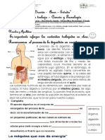 FICHA - CIENCIA - Proceso Digestión 21-04-2021