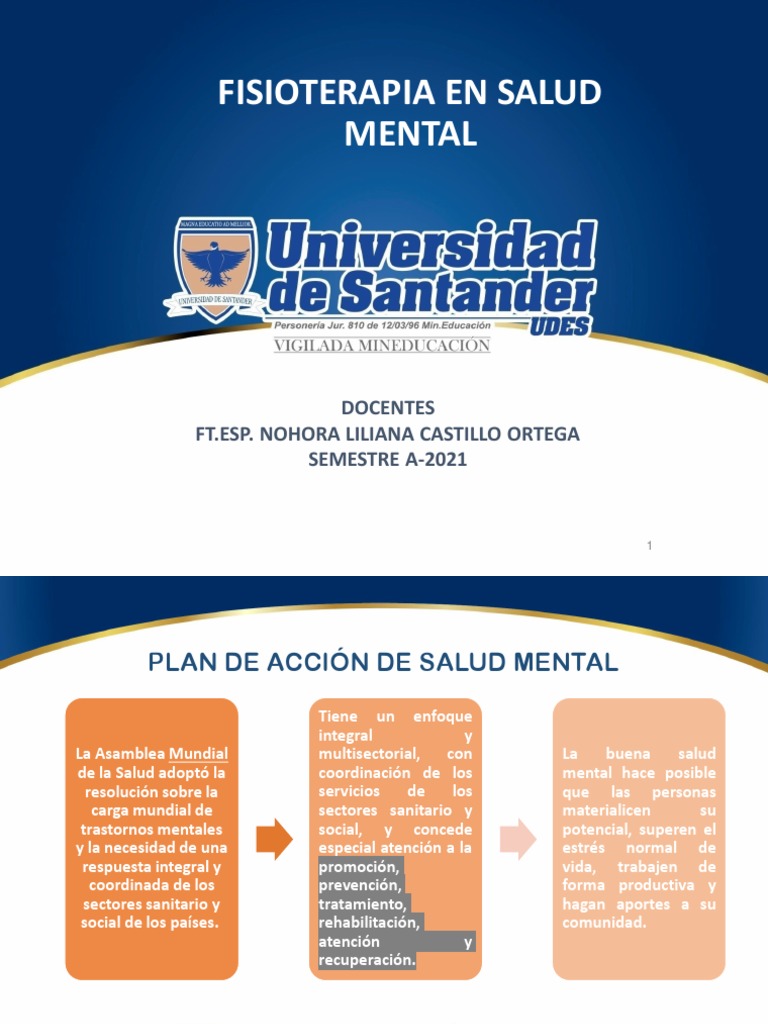 Plan Integral de Salud Mental 2025 | PDF | Salud mental | Trastorno mental