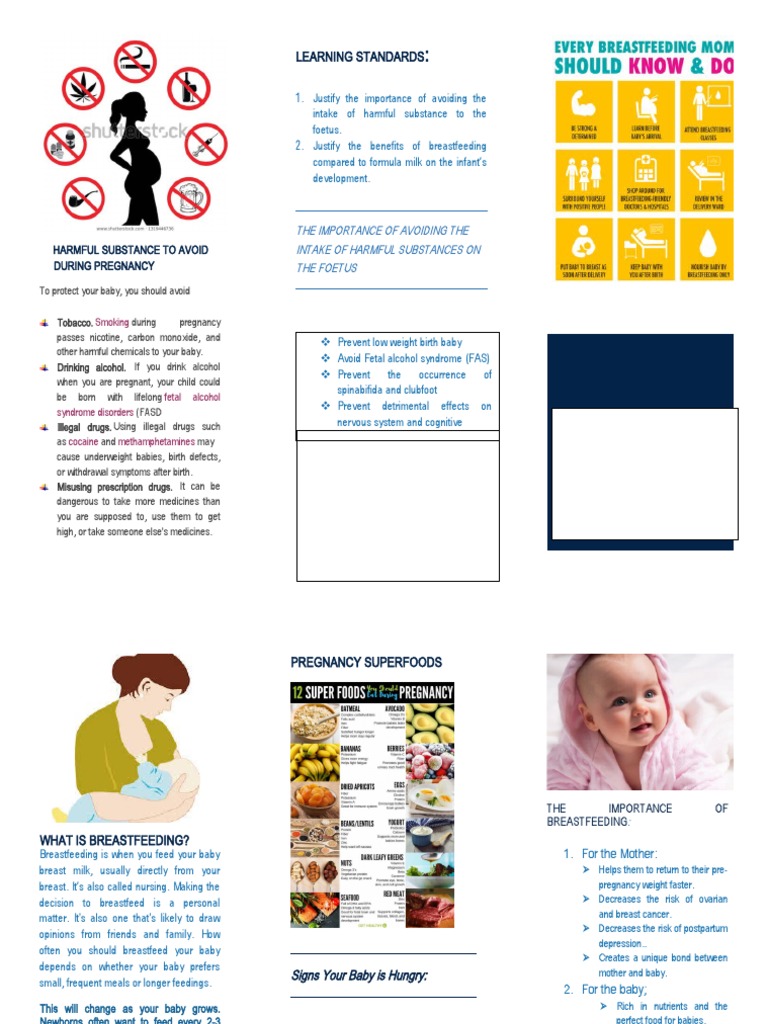 Harmful Substance To Avoid During Pregnancy PDF Breastfeeding