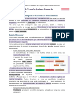 Fluxos de Energia e Cadeias Alimentares