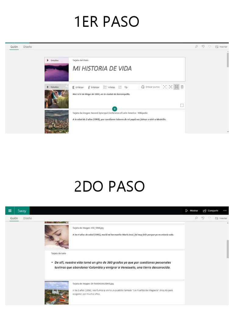 Manual Paso A Paso Sway PDF
