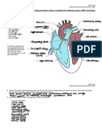 HBS-Distance Learning - Heart Diagram Labeling