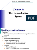 Reproductive System Notes - 2014-15 Draft