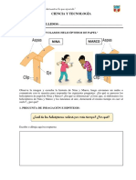 Helicópteros de papel: aspas largas vs cortas