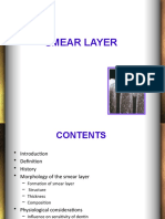 Smear Layer