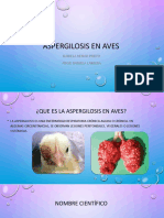 Aspergilosis en Aves