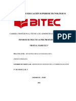 .Informe Prácticas Pre Profesionales II Bitec