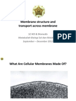Cell Membrane 2011