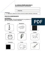 Sonidos Naturales y Artificiales - 1°